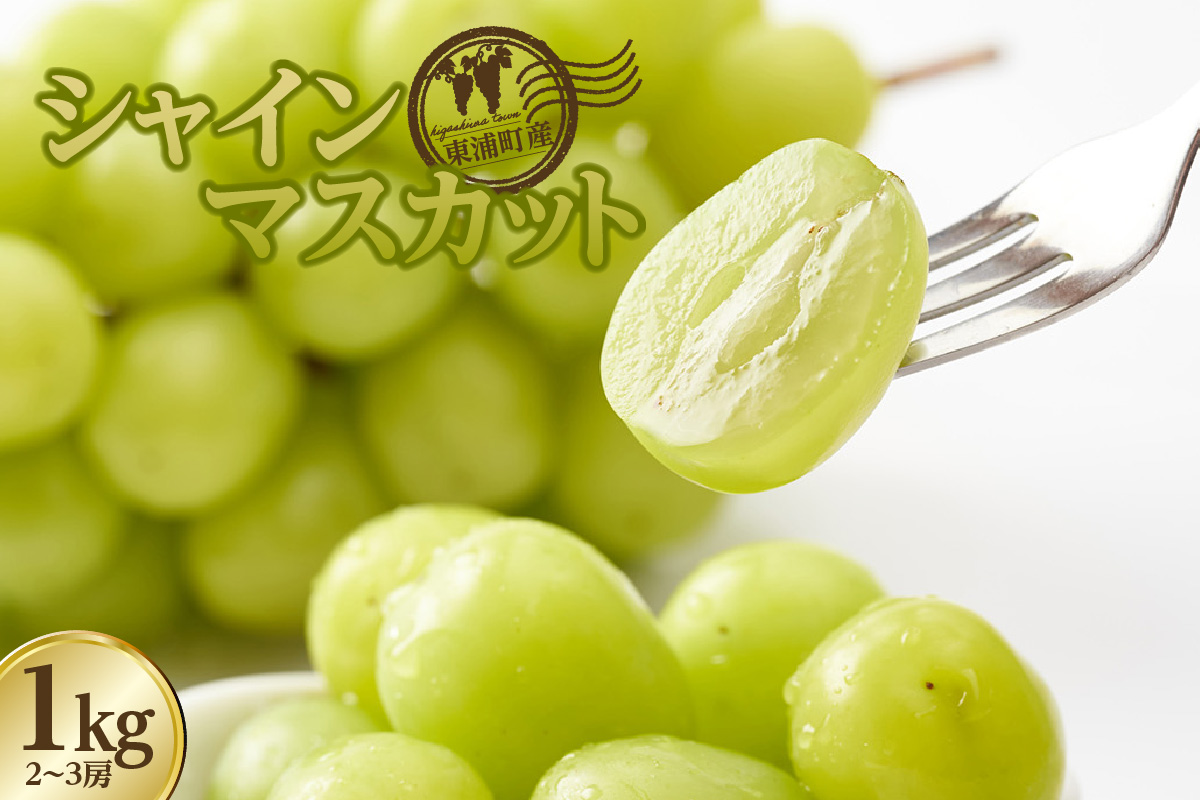 【先行予約】東浦町産シャインマスカット 1kg（2～3房）