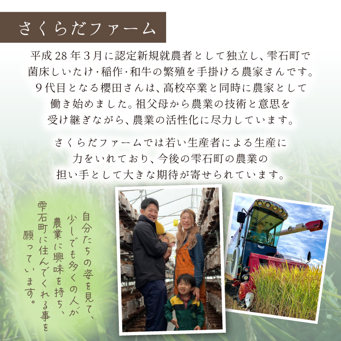 ＜令和６年産＞雫石町産「あきたこまち」精米10kg【さくらだファーム】 / 米 白米 10キロ 特A