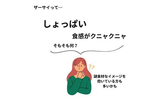 パリッと食感！オリジナルザーサイ 500g  漬け物 保存食 ご飯のお供 おつまみ 漬物 加工品 食品 F20C-895