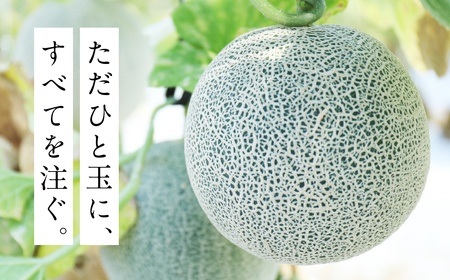 藤原農園　アールスメロン　２玉