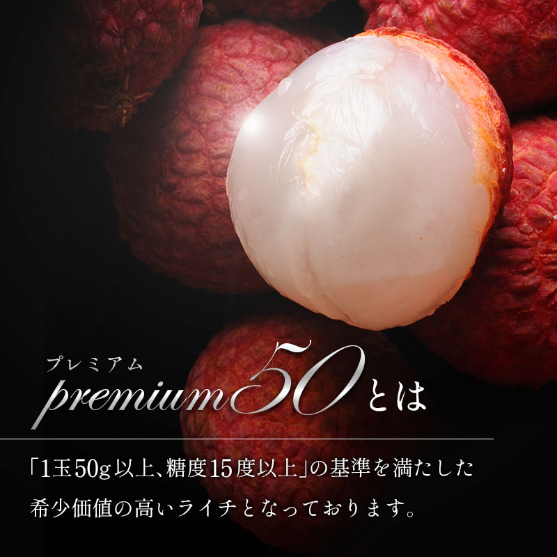 ［2026年発送］先行予約 希少！国産＜新富ライチpremium50＞50g以上×8玉 国産 ブランド フルーツ 果物 贈答品【C52-26】