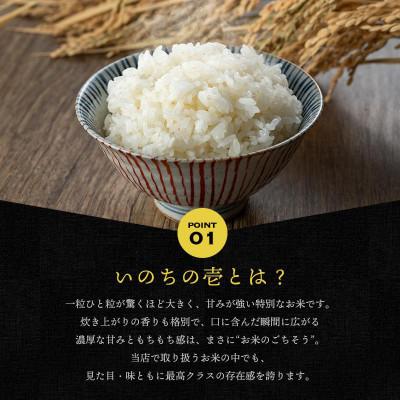ふるさと納税 須賀川市 【新米受付】令和7年産須賀川市産いのちの壱精米10kg JGAP認証農場で栽培したお米です。 |  | 01