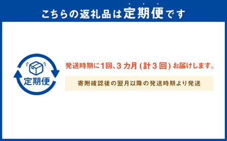 C2 【3回定期便】季節の逸品 夏 フルーツ 詰め合わせ すもも ぶどう デラウェア 梨