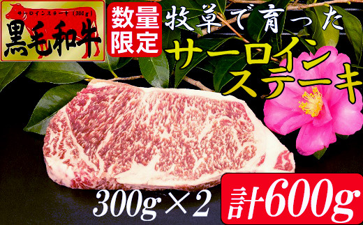 牧草で育った黒毛和牛　サーロインステーキ６００ｇ（300ｇ×2枚セット数量限定）