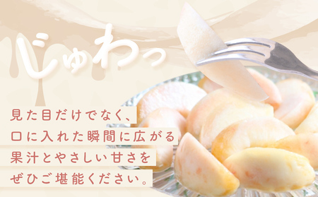 ＜先行受付＞富山県産 桃 11個 ＜2026年8月以降順次発送＞ もも 果物 産地直送 期間限定　富山県 氷見市