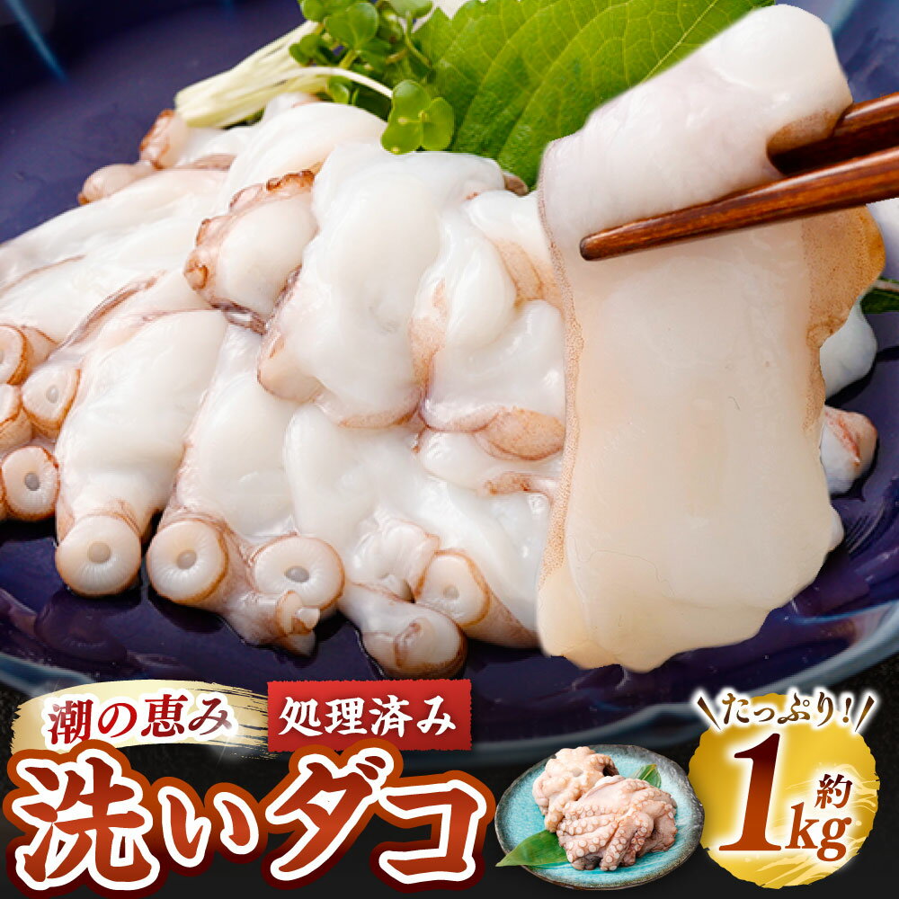 【ふるさと納税】潮の恵み 洗いだこ 約1kg（2杯～3杯） マダコ タコ たこ 蛸 真蛸 魚介類 水産物 海産物 冷凍 国産 大阪府 阪南市 送料無料