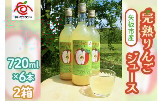 【定期便3回】 矢板市産 完熟りんごジュース《720ml×6本 2箱》｜林檎 リンゴ 果汁100% 産地直送 (毎月お届け）