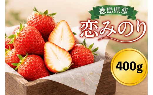 いちご 恋みのり 400g 徳島県産 甘い 美味しい 苺 イチゴ ベリー 果物 フルーツ ストロベリー デザート おやつ スイーツ フルーツサンド いちご大福 大福 ケーキ タルト アイス ジュース ジャム スムージー 人気 オススメ お取り寄せ グルメ いちごはうす 近藤 民宿 農家民宿 みよし 徳島 三好