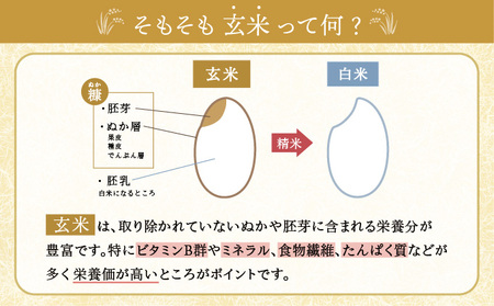 2026年4月発送 令和7年産 ゆめぴりか 玄米 10kg 【北彩香】| 妹背牛産 北海道 米 道産 特A