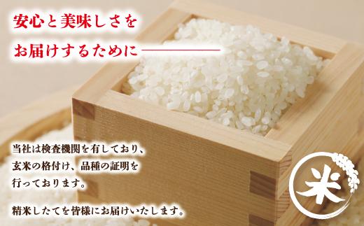 【令和6年産新米・早期受付】四万十のかおり5 kg＆四万十のこしひかり5 kgの食べ比べセット（合計10 kg）【2024年10月より順次配送】R6-156