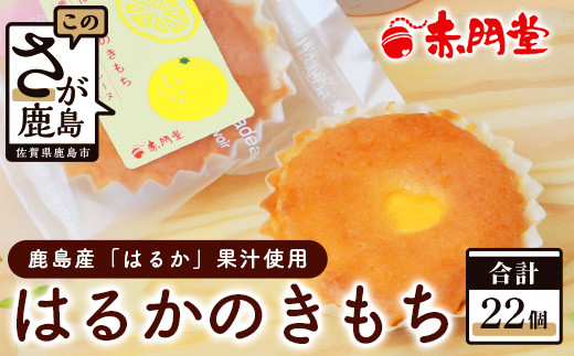 
【赤門堂の焼菓子】はるかのきもち 22個 マドレーヌ 焼き菓子 焼菓子 お菓子 郷土菓子 ご当地スイーツ 焼き菓子 焼菓子 贈物 プレゼント ギフト 贈り物 お土産 おやつ B-641
