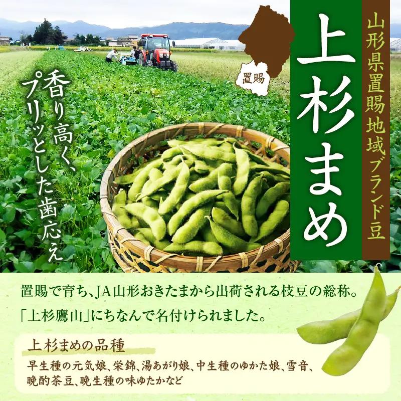 先行予約 令和8年産 枝豆 上杉まめ 秘伝 250g × 8袋 枝豆