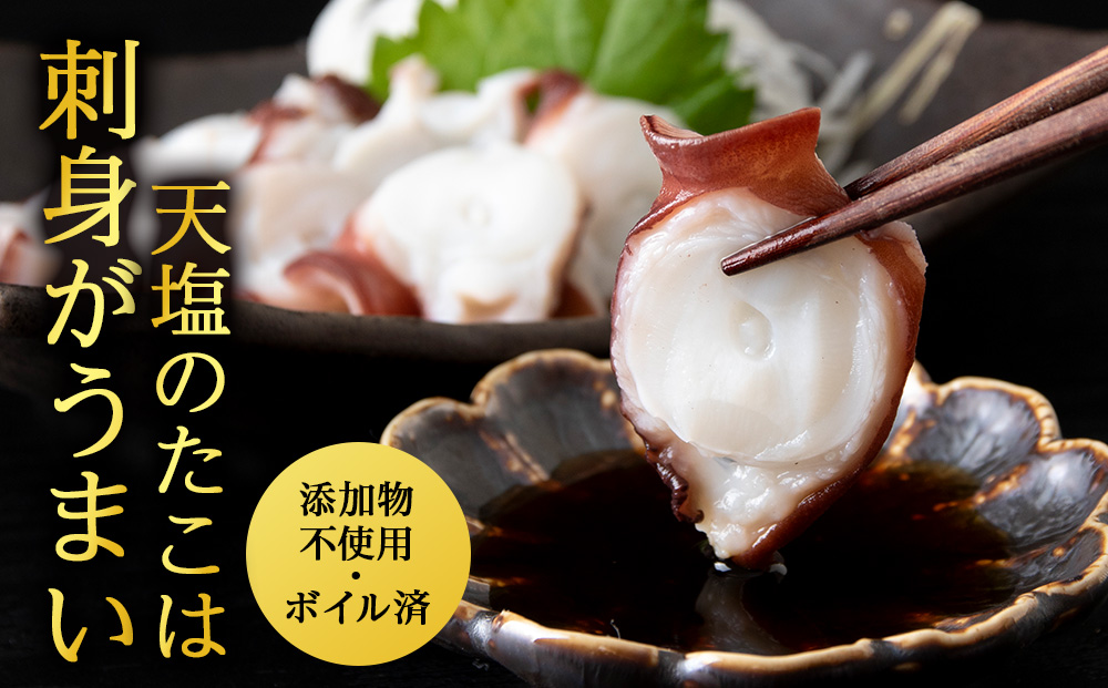 12月発送先行予約 たこ足(1欠片×5)計500~550g<浪岡屋>