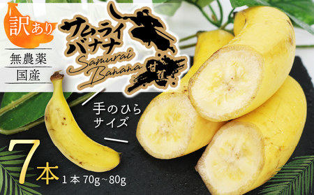 【訳あり】高知県産 侍バナナ｜無農薬・国産・農家直送 手のひらサイズ 7本  バナナフルーツ バナナ サムライ スムージー ふるさと納税