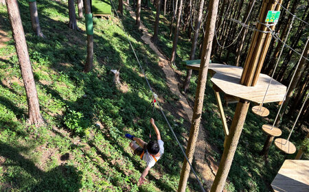 家族みんなで楽しめるコース！ キャノピーコース チケット (1名様) / 自然 アウトドア アクティビティ 体験 / 大村市 / フォレストアドベンチャー[ACCH003]