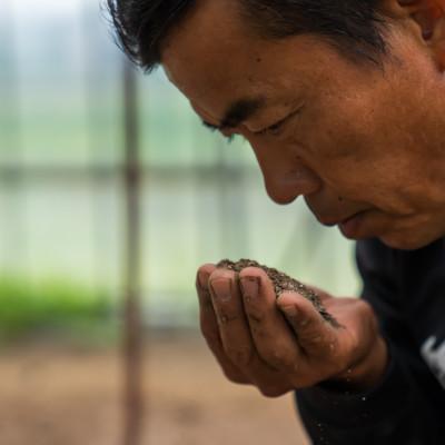 ふるさと納税 南魚沼市 【令和6年産】南魚沼産 笠原農園米 栽培期間中農薬不使用ミルキークイーン 精米5kg |  | 01