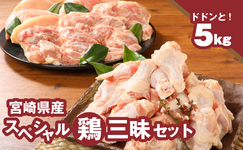 ＜宮崎県産鶏 スペシャル鶏三昧5kgセット＞ K16_0017_4