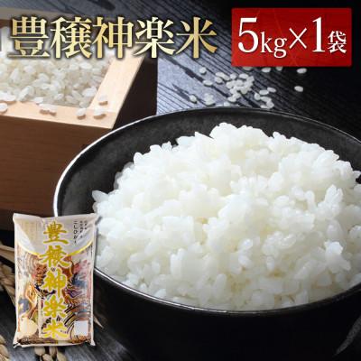 ふるさと納税 北広島町 コシヒカリ 『豊穣神楽米』 精米 5kg