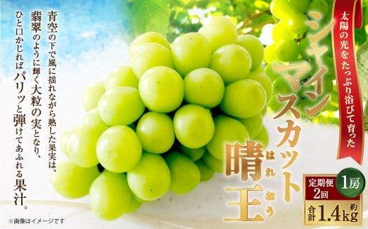 [HS]【定期便 全2回】ぶどう シャイン マスカット 晴王 1房 約700g【2026年9月上旬～10月下旬発送】【ブドウ 葡萄  岡山県産 国産 フルーツ 果物 ギフト】