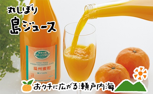 みかんジュース  みかんジュース 「丸しぼり果汁」 720mｌ×6本 飲み比べ 希望の島