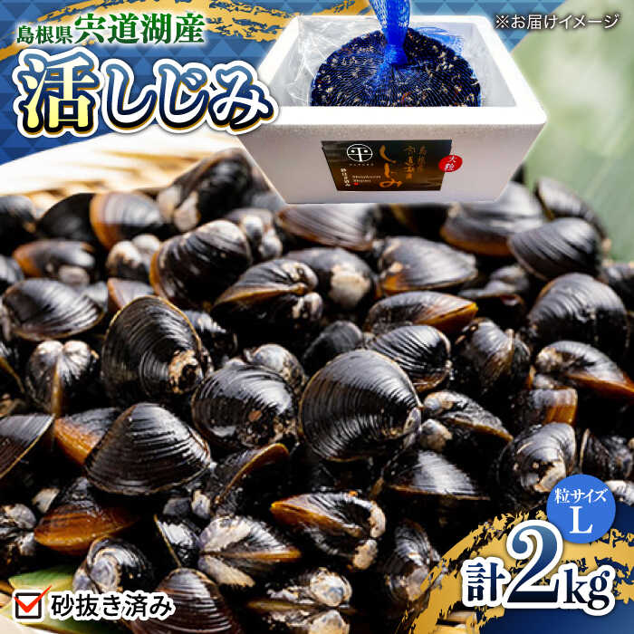 【ふるさと納税】宍道湖産活大和しじみ大粒(L)2kg(砂はき済み) 島根県松江市/平野缶詰有限会社[ALBZ016]