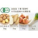 【ふるさと納税】小笠原農園の有機野菜4種詰合せ（きたあかり1kg・メークイン1kg・玉ねぎ1kg・リーキ3kg）【北海道十勝幕別】≪2024年秋出荷先行予約≫　【 野菜 じゃがいも 玉葱 セット 詰め合わせ 】　お届け：2024年9月下旬～12月下旬