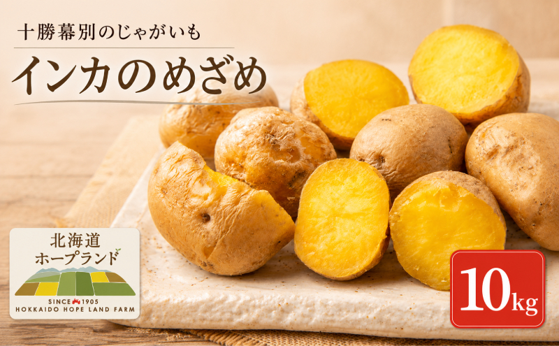 【先行予約】十勝幕別のじゃがいも10kg（インカのめざめ）