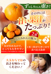 ボリューム満点！ 秀優品 大玉 温州みかん 4kg【2L～3Lサイズ】【2026年12月から2027年3月下旬頃に順次発送】＜味好農園＞/ 温州 蜜柑 みかん 柑橘 果物 フルーツ ミカン 甘い 美味