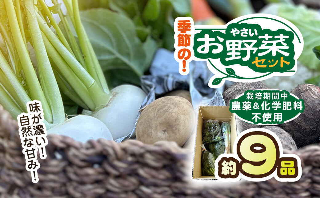 
            栽培期間中 農薬不使用　季節のお野菜セット KTRCP001 / 野菜 やさい 旬 季節 詰合せ お野菜セット 9品目 3～5人家族用 健康 和楽志 わがくし 千葉県 香取市
          