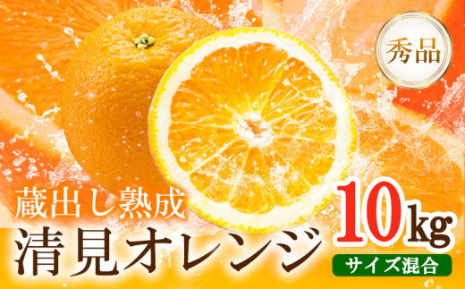 熟成清見オレンジ秀品10kgどの坂果樹園《3月上旬-5月中旬頃出荷》清見オレンジ旬柑橘フルーツ果物オレンジ熟成---wshg_dsk11_a35_23_16000_10kg---