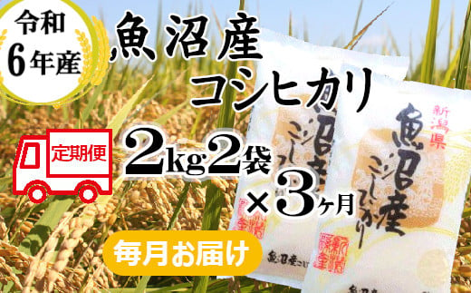 KU30P384 令和6年産 魚沼産コシヒカリ定期便 2kg2袋×3回【毎月お届け】和紙製P袋（小千谷米穀）白米 魚沼 米 定期便