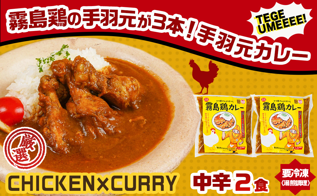 【☆クリスマス☆】カレー倶楽部ルウのビーフカレー10食&手羽元カレー2食セット≪12月20日～23日お届け≫_AA-2709-OJX