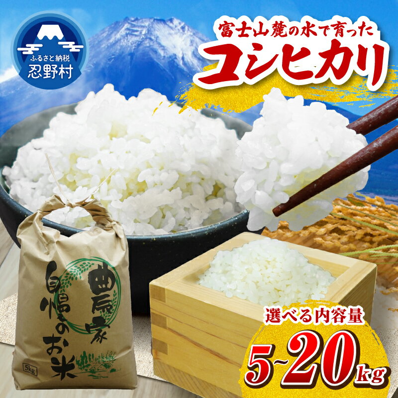 【ふるさと納税】 【新米先行予約】 【数量限定】 コシヒカリ 白米 米 5kg 10kg 20kg 山梨県 忍野村産 令和8年度産 お米 精米 こめ コメ 送料無料 忍野村