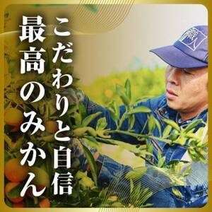 三代目の頂みかんTHEプレミアム【小玉サイズ】2kg【A31-51】【1615103】