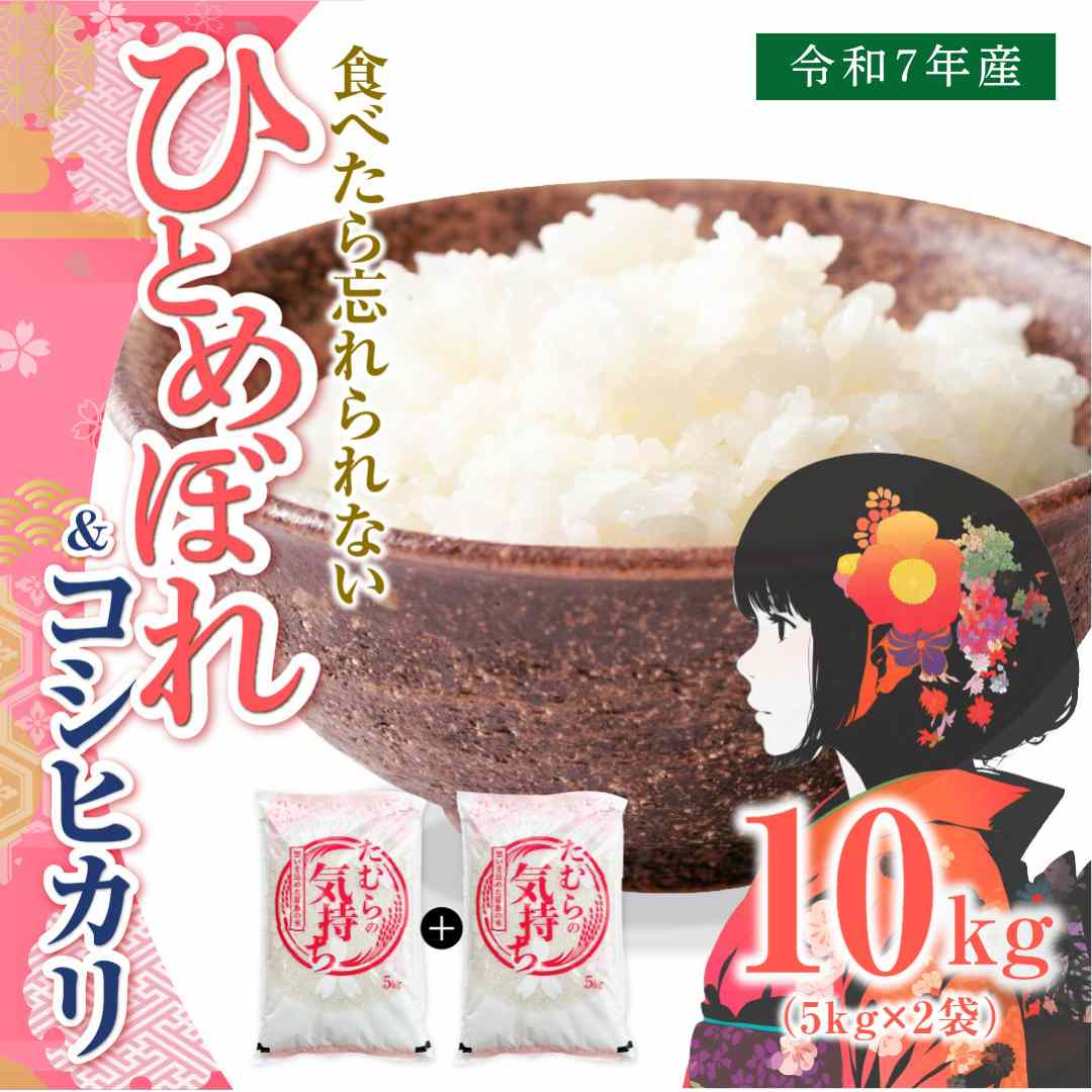【ふるさと納税】【令和7年産】ひとめぼれ5kg & コシヒカリ5kg 計10kg お米 食べくらべ 2種 福島県 田村市 贈答 美味しい 米 kome コメご飯 特Aランク 一等米 単一米 精米 国産 おすすめ 送料無料 ふぁせるたむら