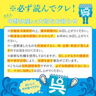 【定期便 12か月】中野水産 美浄生牡蠣 冷凍カキフライ