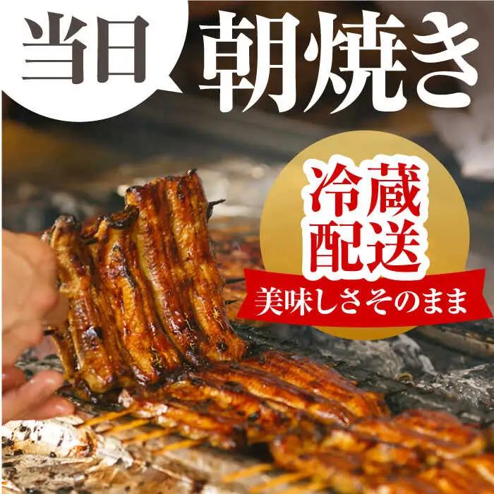 朝焼きうなぎ蒲焼 4尾 / うなぎ 国産うなぎ うなぎ うなぎ蒲焼 うなぎ蒲焼き 高知県産うなぎ [ATAF002]