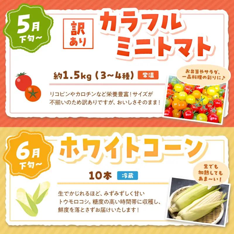 【旬の野菜定期便】イチゴやヤサイ 全5種  旬野菜