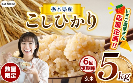 【栃木県共通返礼品】【先行予約】【定期6回】 訳あり 令和8年度産米 数量 限定 栃木県産コシヒカリ 約5kg | こしひかり コシヒカリ kome 米 お米 okome  定期便 数量限定 こしひかり  玄米 米 ごはん おいしい  ふるさと納税 那珂川町 栃木県 送料無料