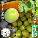 【ふるさと納税】【期間限定・2025/4/30まで】中山農園の南高梅 青梅【選べる容量】 1kg 3kg 5kg 10kg※2025年5月下旬から順次発送予定※ / 紀州南高梅 梅シロップ 梅ジュース 梅酒 和歌山県