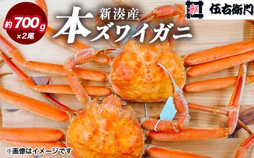 
                  【伍右衛門】新湊産本ズワイガニ約700g×2尾｜ずわい蟹 ずわいガニ ズワイガニ 本ズワイガニ 本ずわいがに カニ 蟹 かに かにしゃぶ カニしゃぶ 蟹しゃぶ かに鍋 カニ鍋 蟹鍋 かに味噌 カニ味噌 かにみそ 魚貝類 魚介類 ボイル 国産 富山 富山湾 北陸 富山カニ 北陸カニ ※2026年11月～発送 ※発送まで1か月以上かかる場合があります。
                