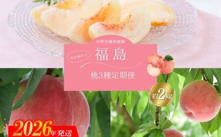 No.2967中野/佐藤果樹園 福島の桃３種定期便 各約2kg【2026年発送】