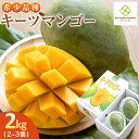 【ふるさと納税】【2025年発送】キーツマンゴー2kg（2個～3個） | フルーツ 果物 くだもの 食品 人気 おすすめ 送料無料