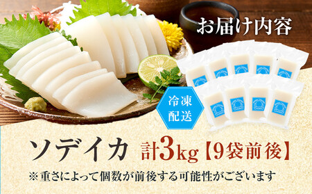 ヨロン島特産☆あま～いソデイカ 3kgセット