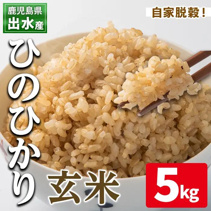 玄米 ひのひかり 5kg 鹿児島県 出水市産 【田上商店】i504