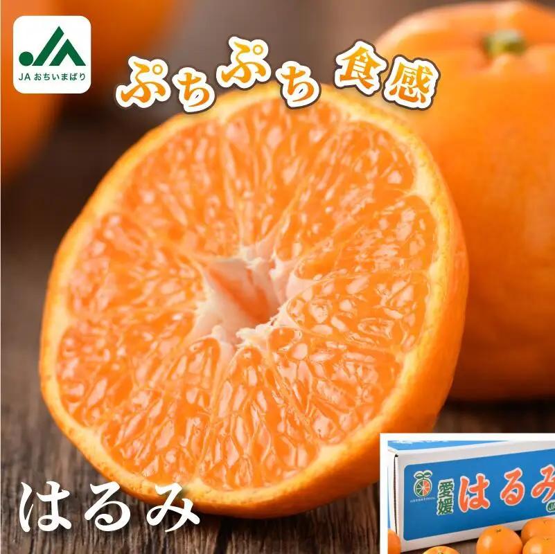 【先行予約】はるみ 5kg S～2L 愛媛県今治市