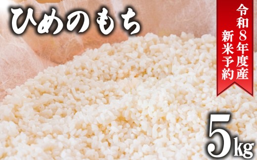 先行予約 もち米 5kg 令和8年産 千葉県産 ヒメノモチ ひめのもち 餅米 お餅 餅 米 新米 コメ ご飯 ごはん お弁当 おにぎり 赤飯 おこわ 人気 国産 千葉県産 千葉県 旭市 オオナギファーム onf010