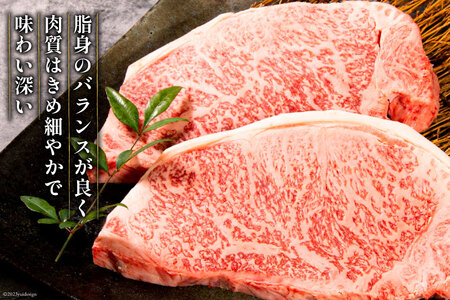 牛肉 【2024年5月発送】 宮崎牛 ロースステーキ１kg [ミヤチク 宮崎県 日向市 452060498] ステーキ ロース 冷凍 黒毛和牛 先行予約