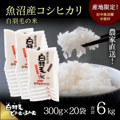 ふるさと納税 十日町市 令和8年産　農家直送!魚沼産コシヒカリ「白羽毛の米」精米(300g×20袋)6kg