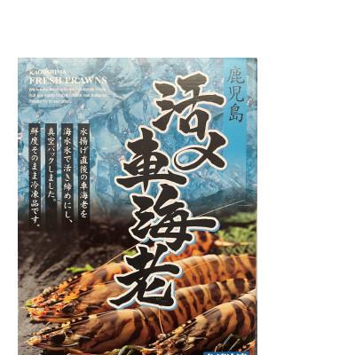 ふるさと納税 中種子町 活き〆冷凍車海老 ソフトシェル3L 300g×1パック(5〜9尾入り) |  | 01